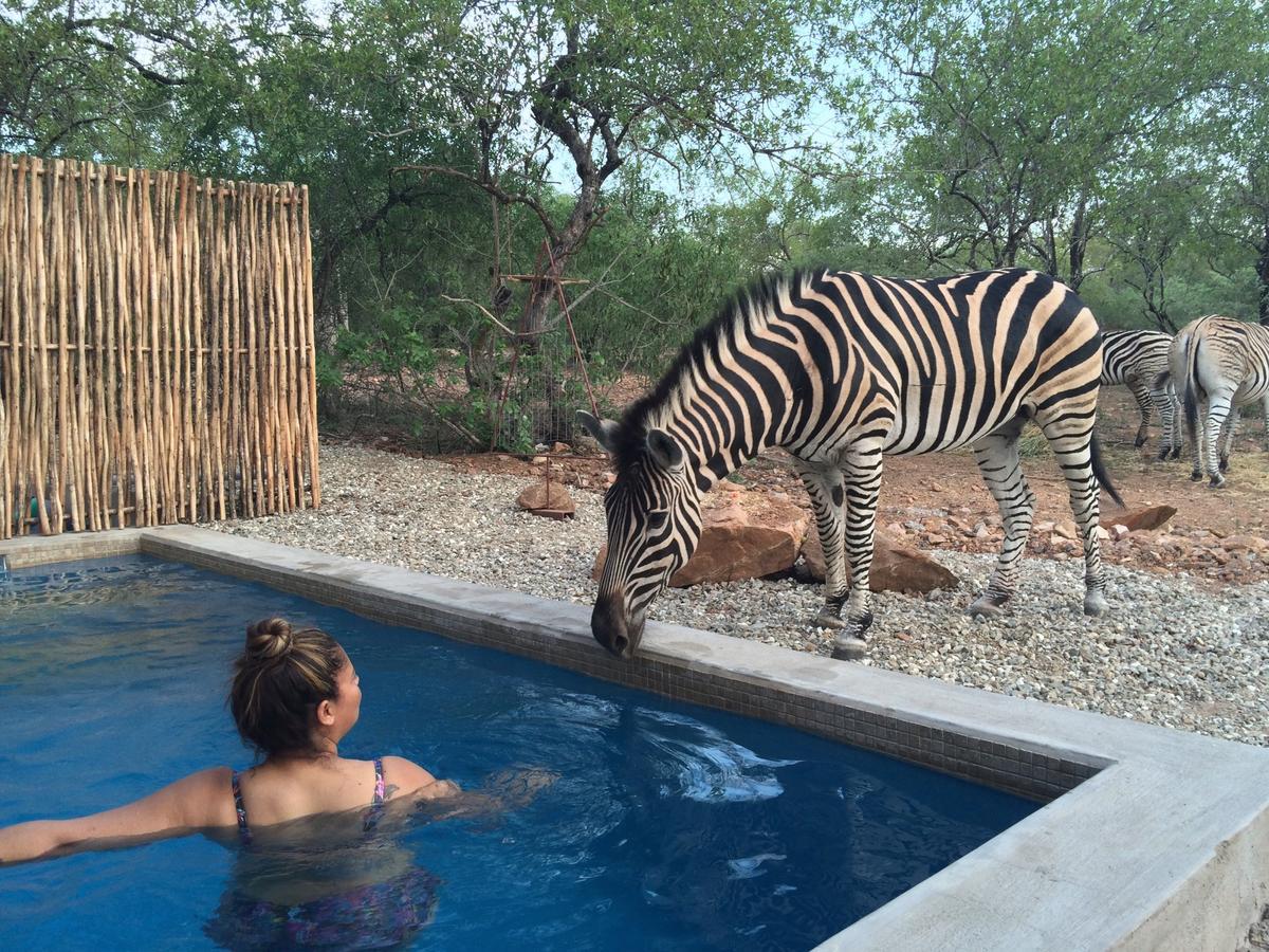 Nextdoor Kruger Villa Marloth Park Exterior photo